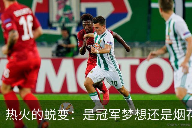 热火的蜕变：是冠军梦想还是烟花一现？